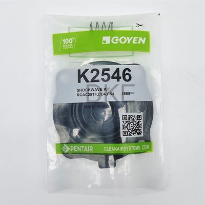 Goyen Typ 2546 K2549 Pulsowe zestawy konserwacji zaworów RCAC25 serii T3, DD3, FS3,