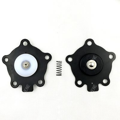 K2003 (M1174B) GOYEN Pulsowy zawór diafragma zestaw naprawy zaworu Model RCA20M 8002047