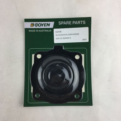 Goyen RCAC25 zestaw do diafragmy typu K2546 serii T4, DD4, FS4