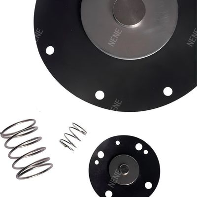 Zestaw naprawy zaworu pulsowego typu K5000 Goyen CA50T/RCA50T/CA62T/RCA62T 2"