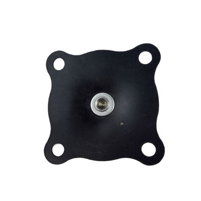 ASCO 2 Inch Diaphragm Repair Kit C113684