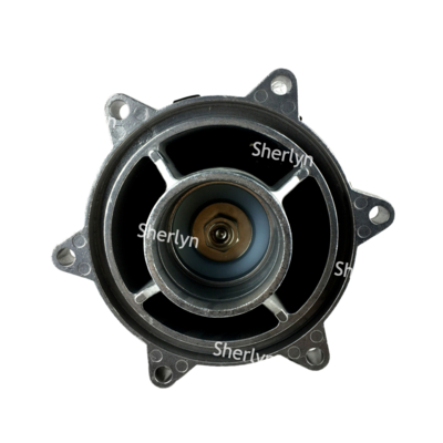 BFEC Filtr workowy Elektromagnetyczny zawór impulsowy DMF-Y-62S 2,5-calowy zawór impulsowy zanurzeniowy