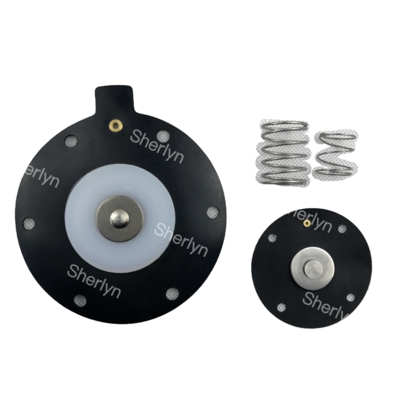 DMF-Z-40S BFEC Bag With Diaphragm DMF-Z-40S 1,5-calowy zestaw napraw diafragmy