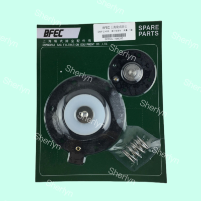 DMF-Z-40S BFEC Bag With Diaphragm DMF-Z-40S 1,5-calowy zestaw napraw diafragmy