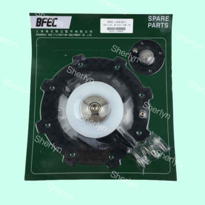 BFEC DMF-Z-76S DMF-Y-76S 3'' Inch Right Angle Pulse Jet Valve Gumowy diafragma