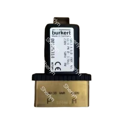 Burkert 6213 serii G3/4 zawór magnetyczny 00221665 AC220V