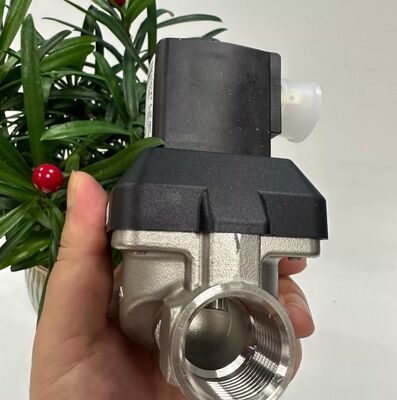 BurkeRT 6213EV 00222168 00222169 00222170 Zazwyczaj zamknięty zawór magnetyczny Zawór magnetyczny z stali nierdzewnej Zawór magnetyczny Zawór pneumatyczny