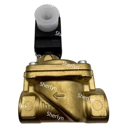 6281 Burkert Zawór Elektromagnetyczny 00221931 G3/4 2/2 Normalnie Otwarty AC24V