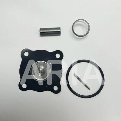 Zestaw naprawy ASCO K304359 dla SCE210-100 zaworu magnetycznego, 1-1/2 "DN40 części zamiennych przewodu