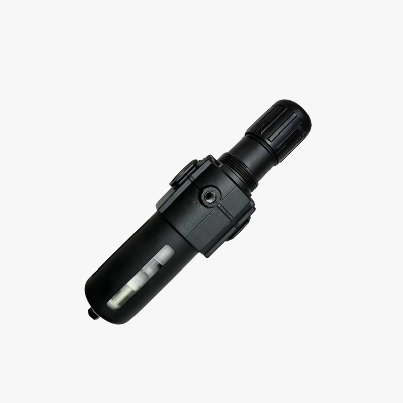 NORGREN B74G‑6GK‑AP1‑RMN B74G‑6GK‑QP3‑RMN B74G-6GK-QP1-RMN Excelon Series Compressed Air Treatment Component Tool‑Free Bowl Disassembly Wymienny wkład filtrujący Szeroki zakres temperatur